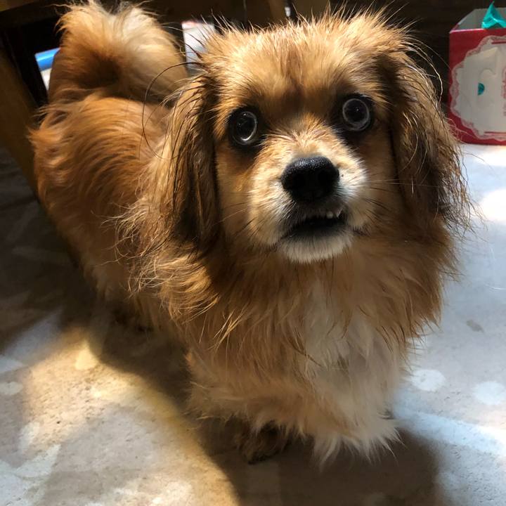 3519f8f7 c6ce 4ddf b387 105c3689208e 1554844508887