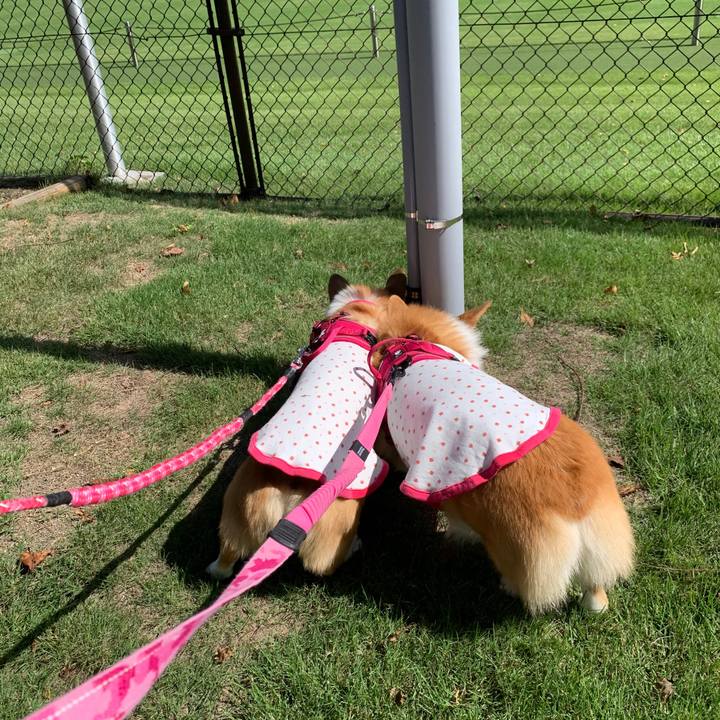 351a3937 1ad4 404b 9e75 f05de4b5e814 1601265961114