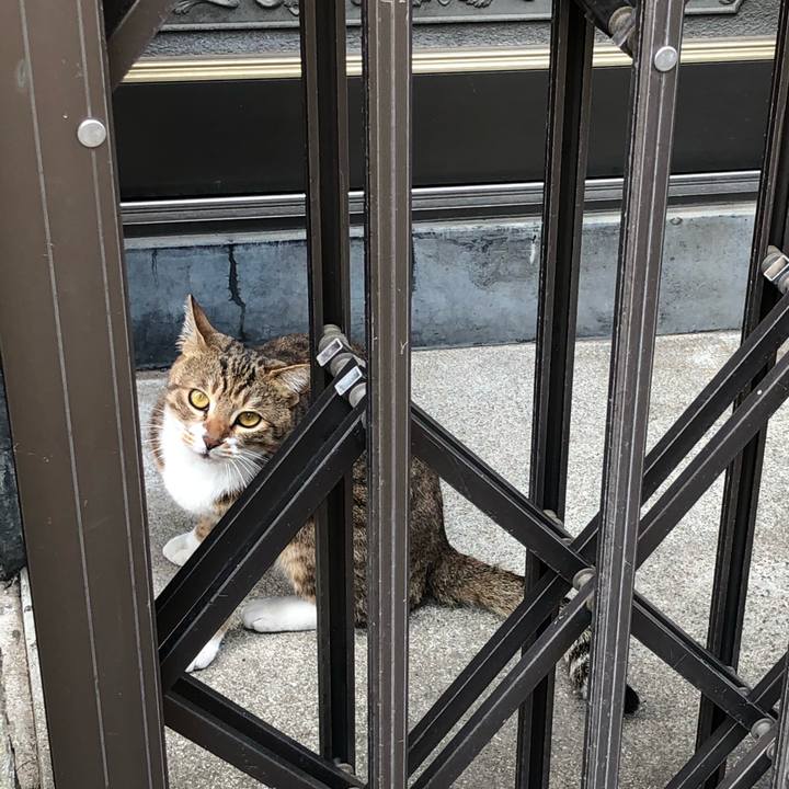 351a7924 2c10 429c b0d0 bb5899c8b307 1550680261871