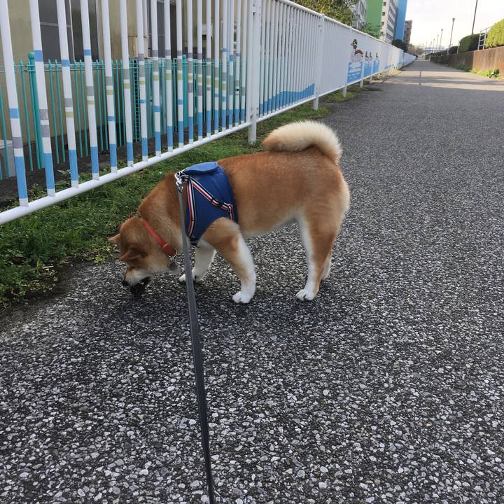 351a81f4 3780 4f5b 8da5 af1168d42b9e 1541654829904