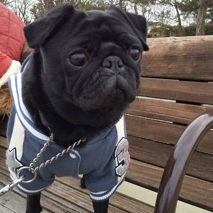 351af53c 0a6c 41b1 a465 9437dba60e11 1582099073920