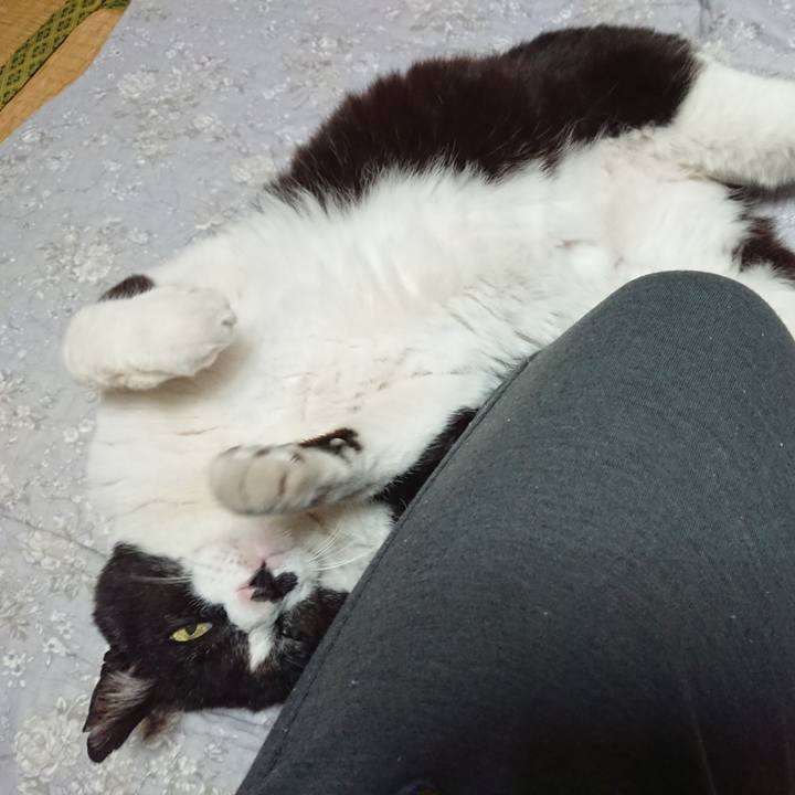 351b0cec 92c5 45a9 927f 7f75770bdaba 1652608303733