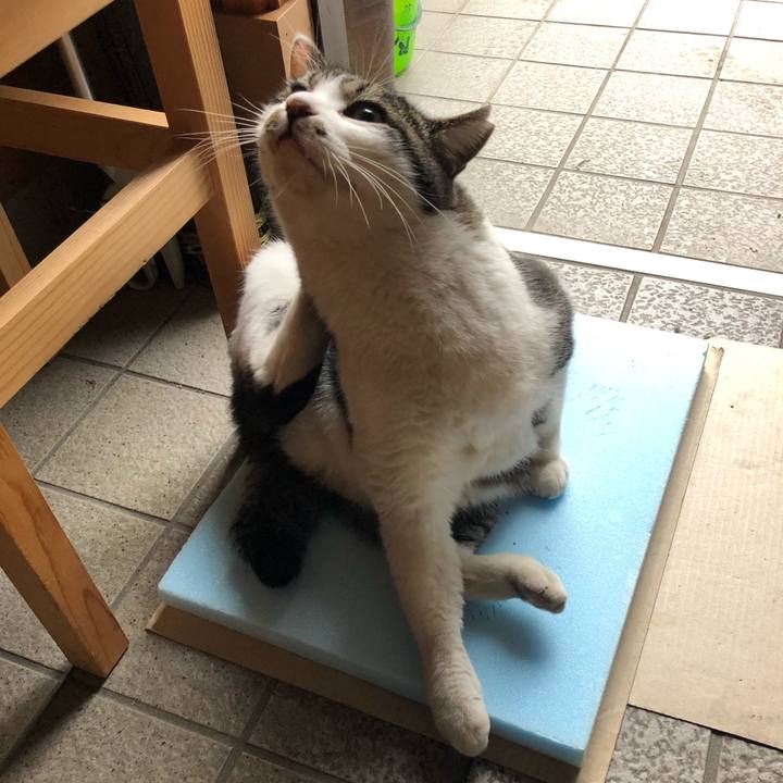 351b787f 97f3 4b5d a5ef 1d98156281ad 1607584738244