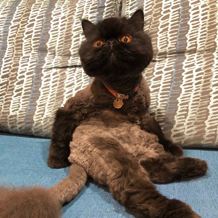 351b7e71 243f 46ad a3db 55b044215df3 1615008993347