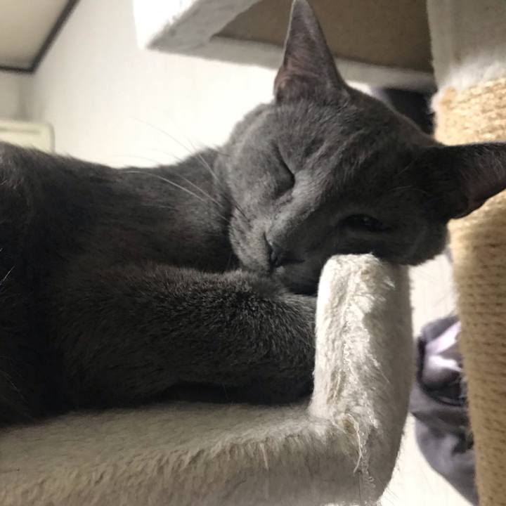 351b89b2 2b34 4e1c 87de 44d8e266a4e6 1548511880430