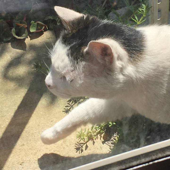 351ba85b 20fc 4abe aa8a a5c0c44c7cea 1655340281549