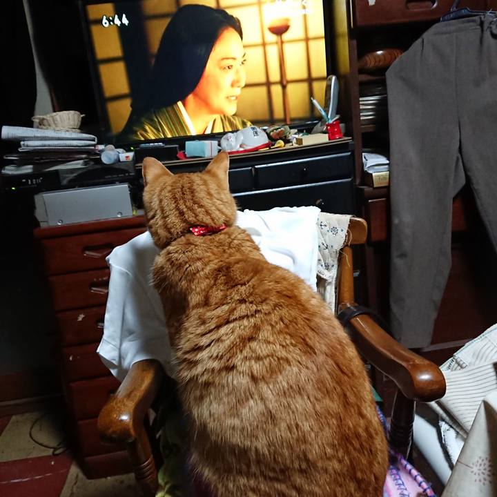 351baf62 fc20 4e01 9e6f 0bc4e73eebfd 1578004135342