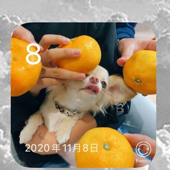 351bceb6 78be 4c2f bb2e 5e150d6e16c0 1636343891071