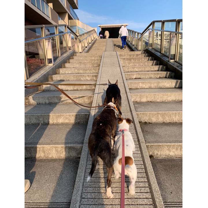 351bd72b 54f2 4ad1 b662 4d03ca9895b9 1586607719010