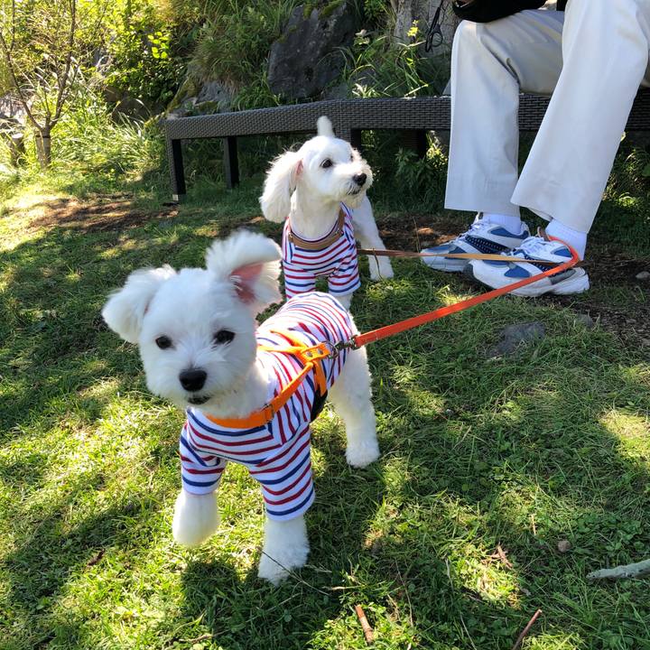 351be95c e229 49b4 8307 96deb94db313 1534642951280