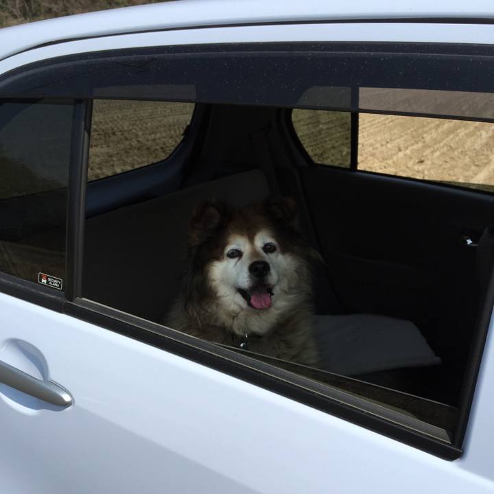 351c4137 5fa6 48f8 8bfd 95acb24f069b 1615873424299