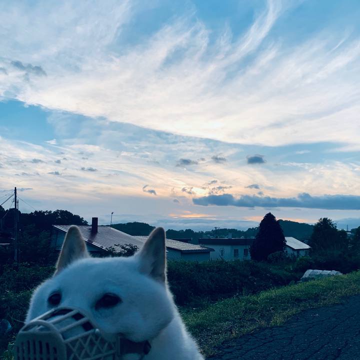 351ca461 c0f4 4a98 b53e a7aad671de88 1600290675982