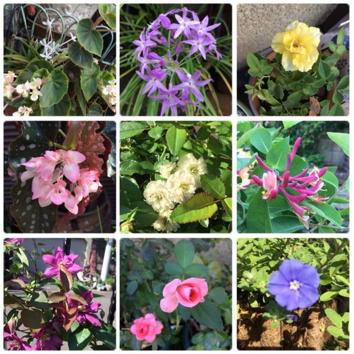 351cc008 33f0 4ad4 b0c2 22d5f6609a48 1533884758414