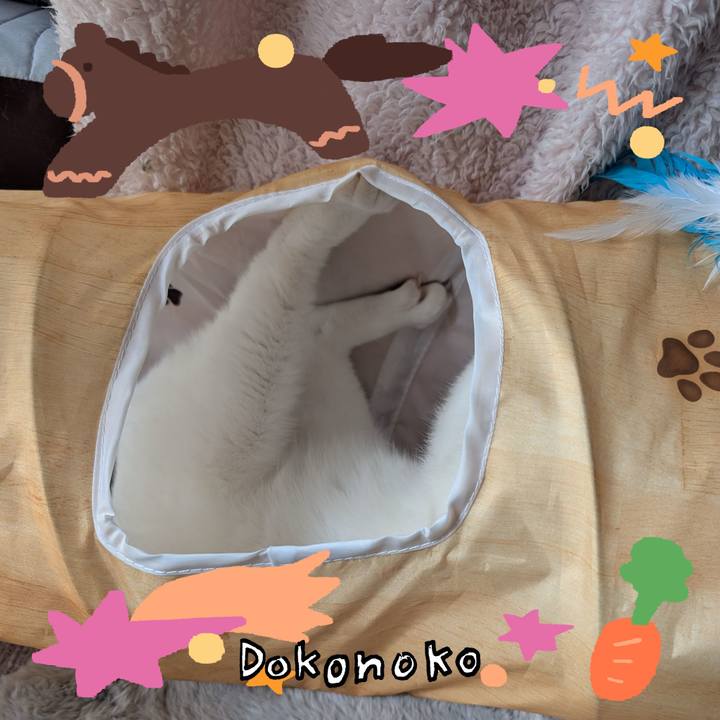 351cc5cf 0d04 4d85 a9f3 5db32bc04046 1771827559245