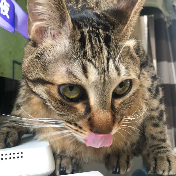 351d1363 3ea7 49b8 a1df 06befd205d45 1582143638906