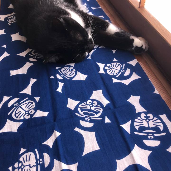 351d4a52 fd2f 42f3 a5a0 d73e32f79c6a 1536457838695