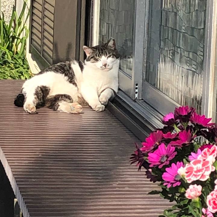 351d7016 0550 462b 9c23 05ff39de80b2 1588382569051