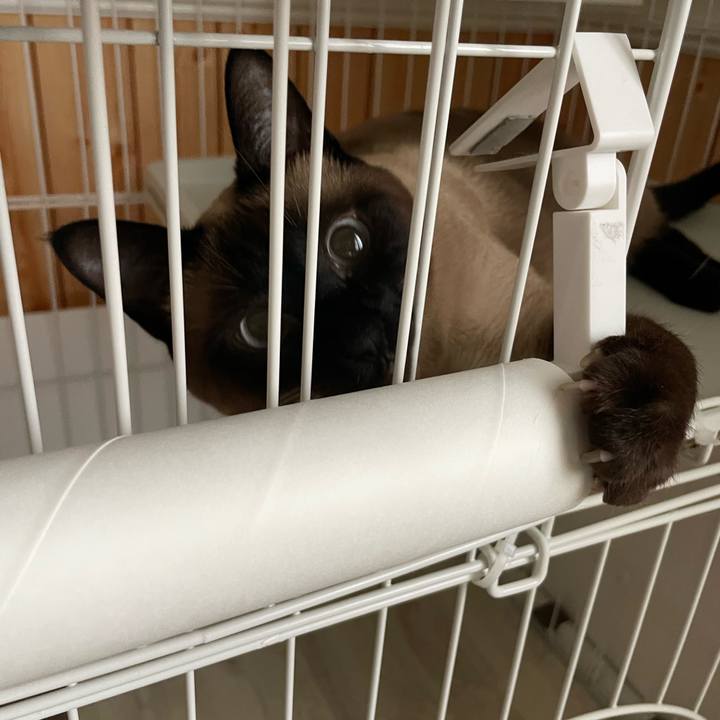 351d72e7 8a22 46e0 a081 92aeb7b5b2ed 1750885761762