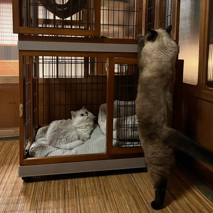 351dade8 0c65 41d0 b775 8b2796931893 1698663582494