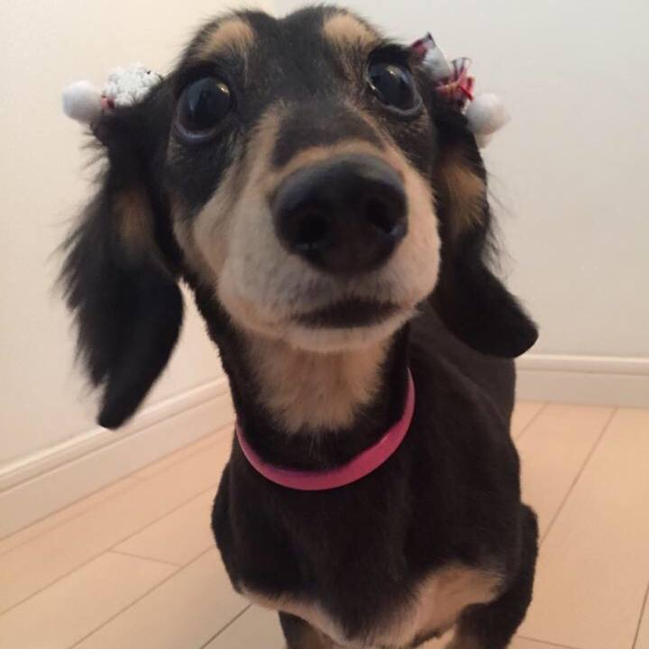 351db4c0 f007 4850 ad5e ad1e19c11f10 1511169317982