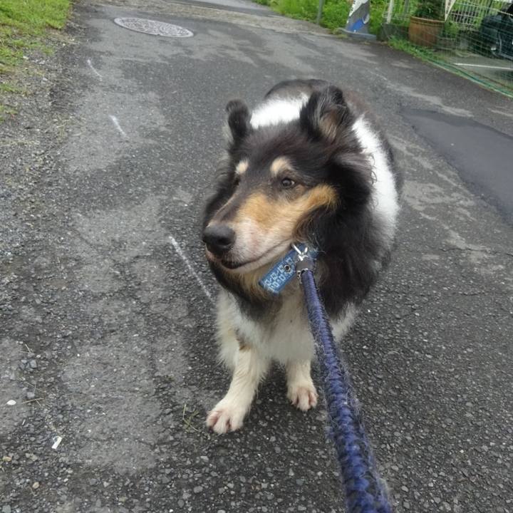 351dbe79 8504 486c a27e aa96e144bbbc 1592742523480