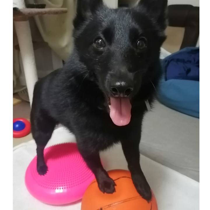 351e0c32 3089 4deb b0cb 55700ece1f0e 1621945969224