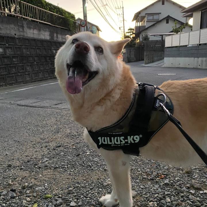 351e22d2 f325 4b01 bdec 8f8be8243d14 1628188093761