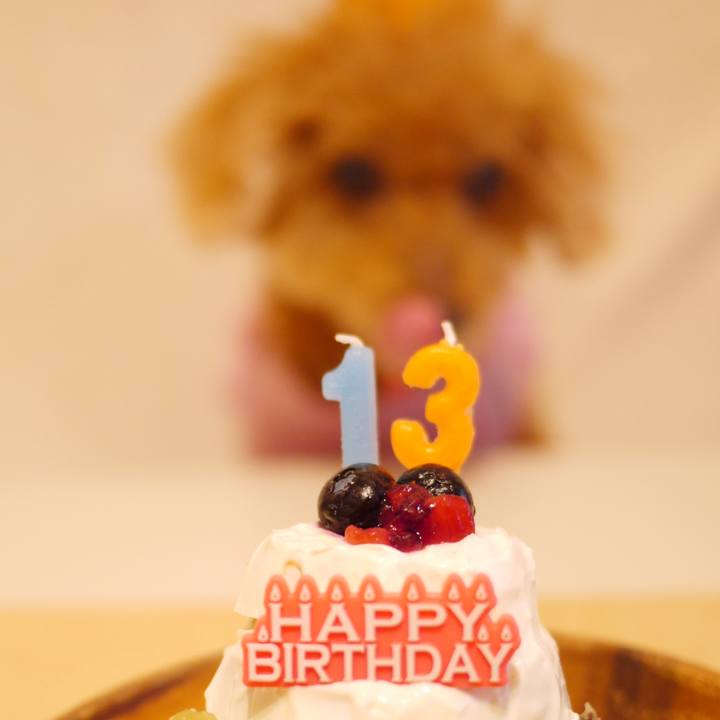 351e9bfc 72da 46a0 82b2 2aa341ff99d6 1577290761212