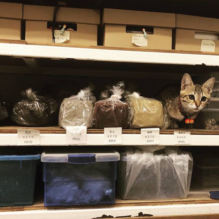 351ea669 aed7 49cd 85ea 909b1e843959 1578875023650