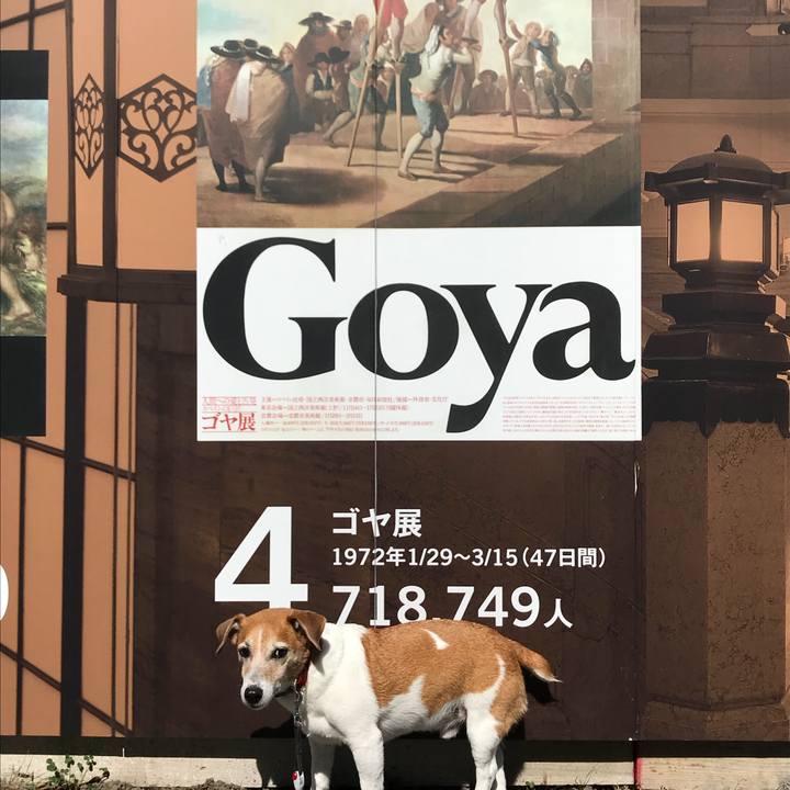 351ebc93 edad 40d9 9cbc 385398fce746 1529202399350