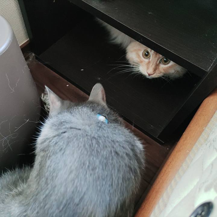 351efc53 b3e4 4e84 a2c4 482c36a2b3e5 1689485446512