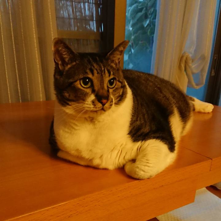 351f486c e5f9 4745 a25a b645d1c0c918 1720560561514