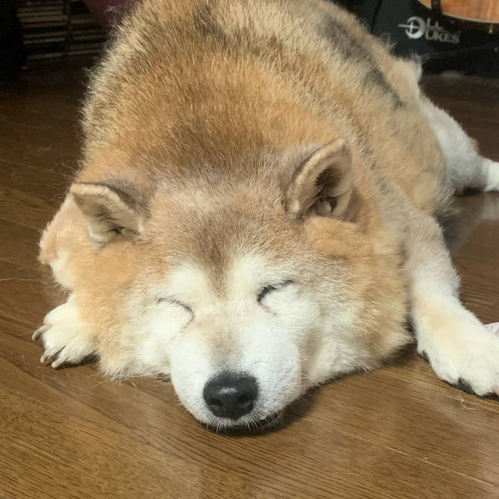 351f4cab a77a 4fb1 91a0 cca0636681e0 1634822098880