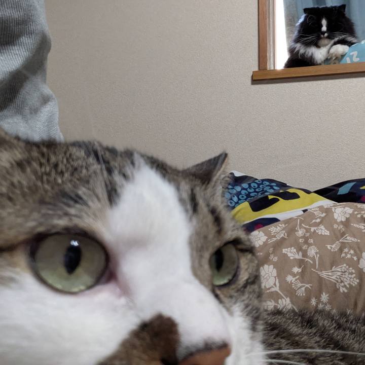 351f7442 a79e 45b7 abd7 bedbb398950b 1752392822663