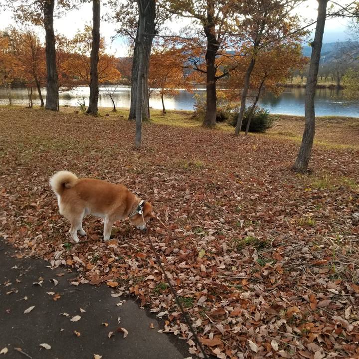 351f9350 d6fd 4b4f 8ea1 7514de52ffa5 1669014715417