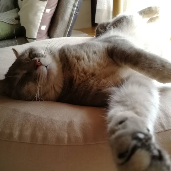 351fc60d b752 4189 b60a 63d2d80d6a3e 1529720591148