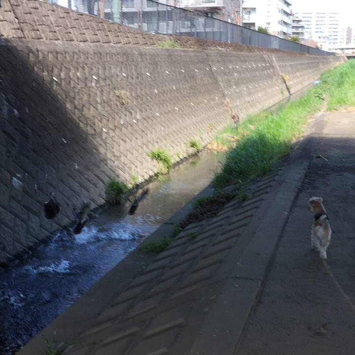 351fe754 d5bf 457e a812 475d755c5783 1553418510029