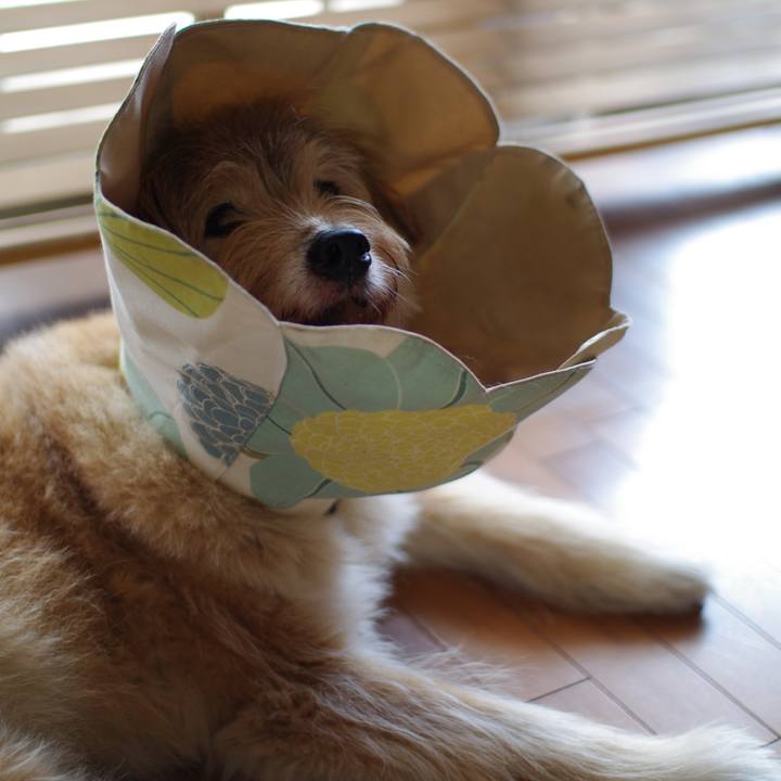 351ff97f 3c51 437d be3f 2168eb5d2271 1662368433626