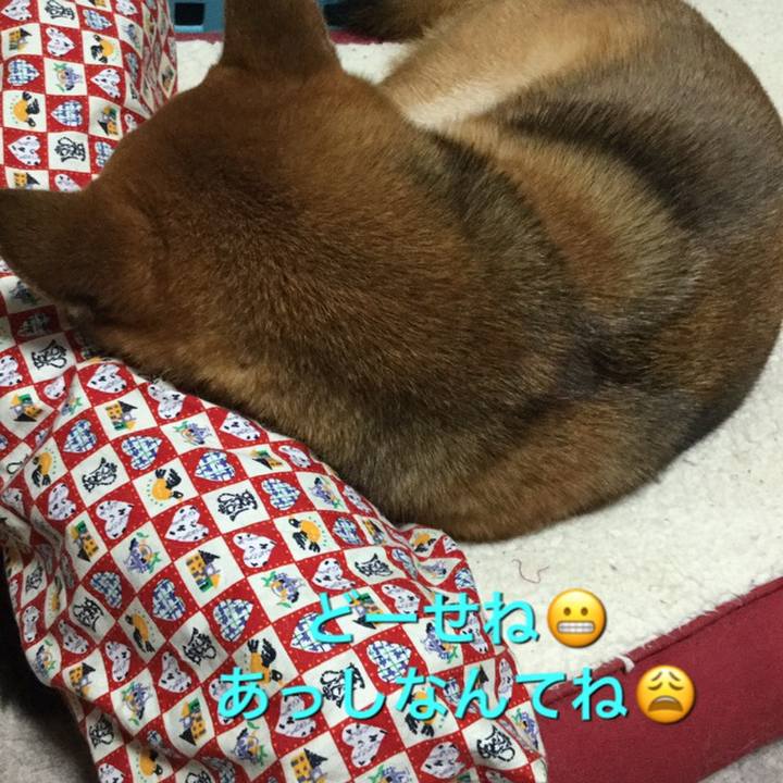 3520010b caa0 4099 a95c 9e4bea031004 1571744076369