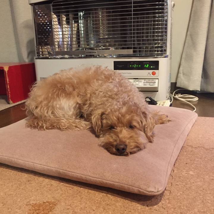 35200adb 9174 492c a4f2 495e341fce9c 1519852691798