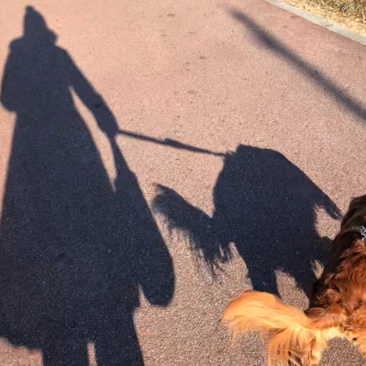 35203805 4577 4aa6 840a fe6c5206c767 1644023154118