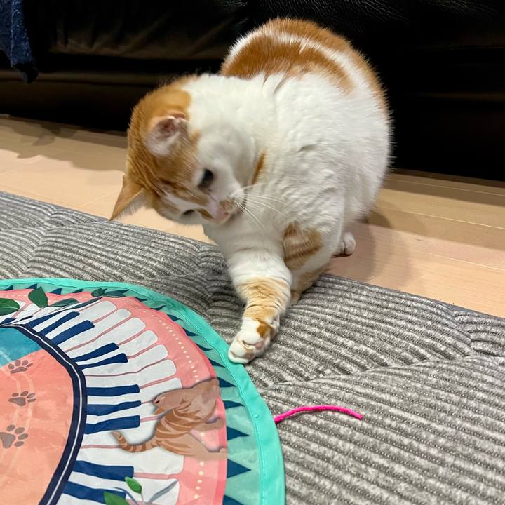 35206776 ade7 43e1 93ac 52ddce46e2b9 1764641085205