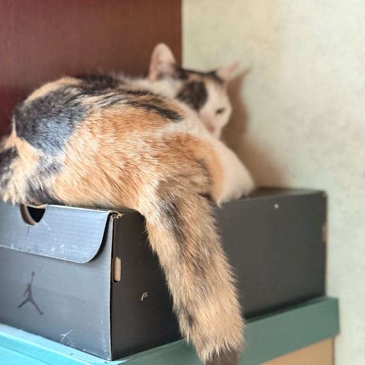 35209a69 9cca 4613 aa3e 3ca4d36c9149 1756688303725