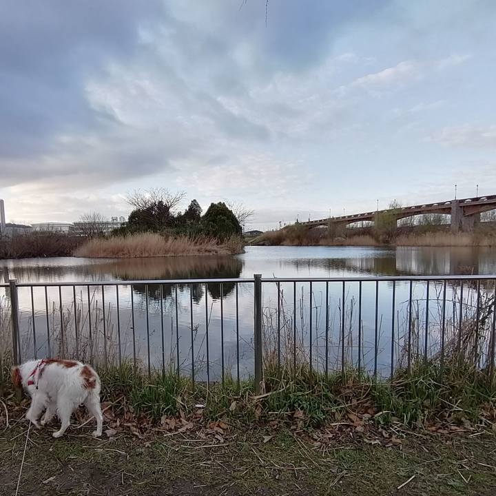 3520a175 bebf 47ae a48a d3f5f7e262eb 1583884745484