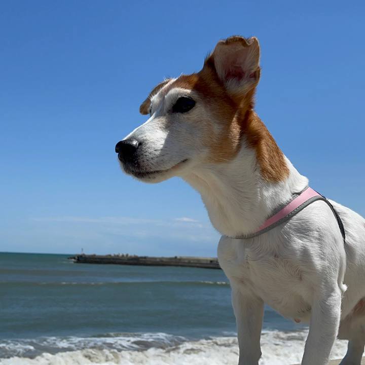 3520be43 707d 49ed 88bf 8cf6bbf3beee 1619182933686