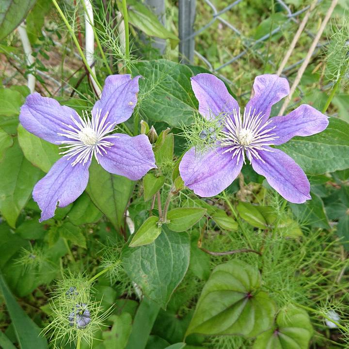 352111a7 69c8 4343 a69d ee339f3ecc6e 1620705511301