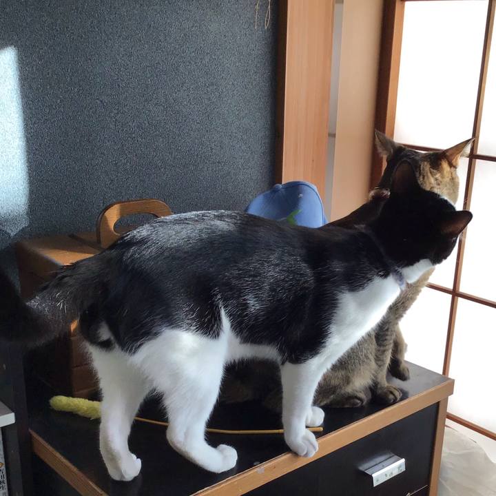 3521473f 6e84 496b 8d09 fabd359f43c0 1636675414495