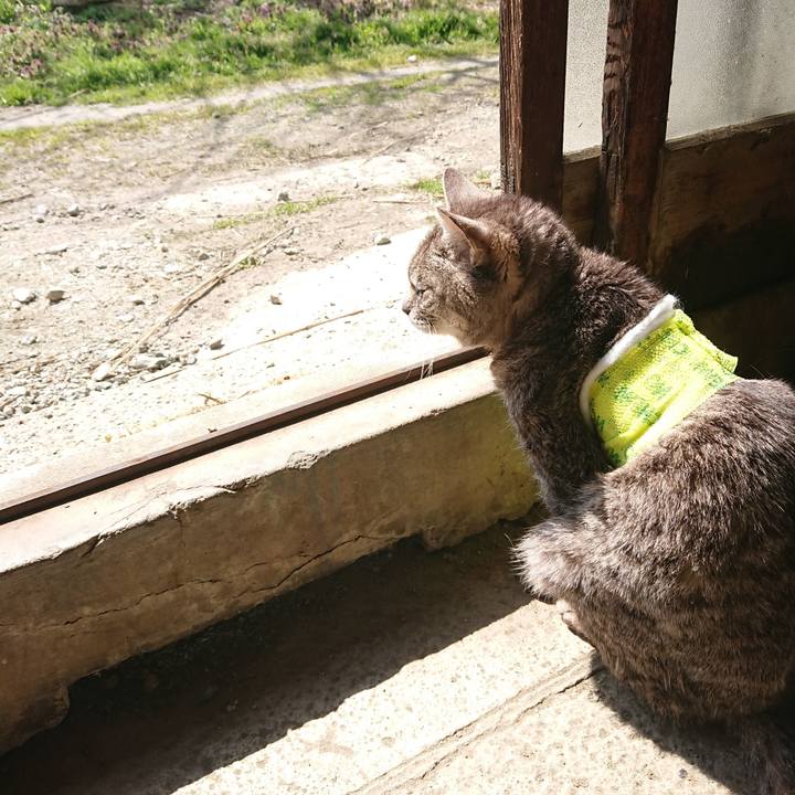 35216259 4afa 4a97 9e12 5f5d87cfdeb9 1586398887550