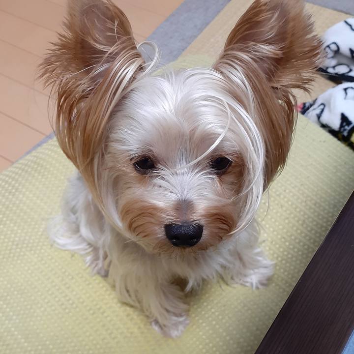 35216a92 ced7 4cab b31b d5ac83f46f33 1568115522583