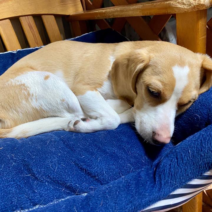 3521d047 2f84 4571 b796 e035f30f1cb2 1583157875027